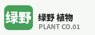 芒果视频