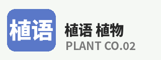芒果视频
