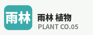 芒果视频