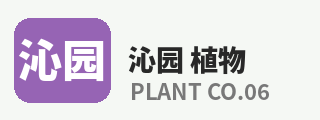 芒果视频